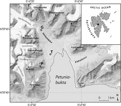 Comparison of Microphototrophic Communities Living in Different Soil Environments in the High Arctic